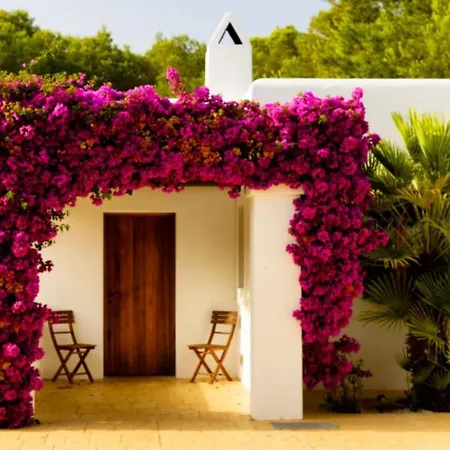 Tegui Is A Luxury Close To San Rafael And 10 Min Drive To Ibiza Town And San Antonio * 산트 라파엘 데 사 크레우